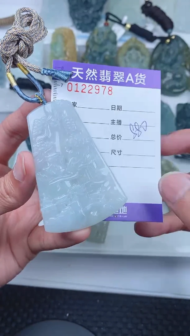 【闪购商品】翡翠颈饰未镶嵌        978