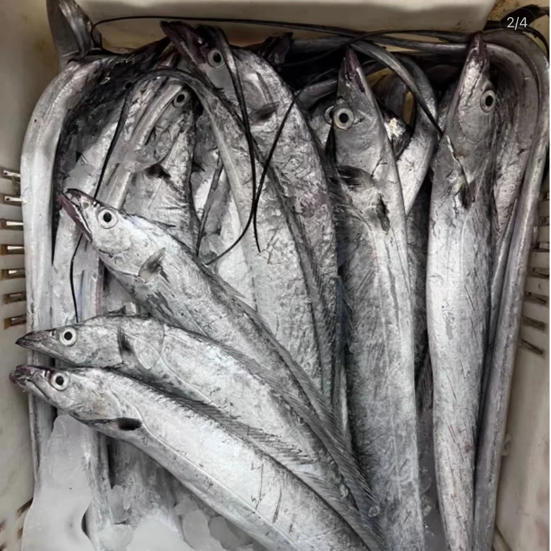 正宗小眼油带鱼 无冰衣 净重五斤 拉新福利