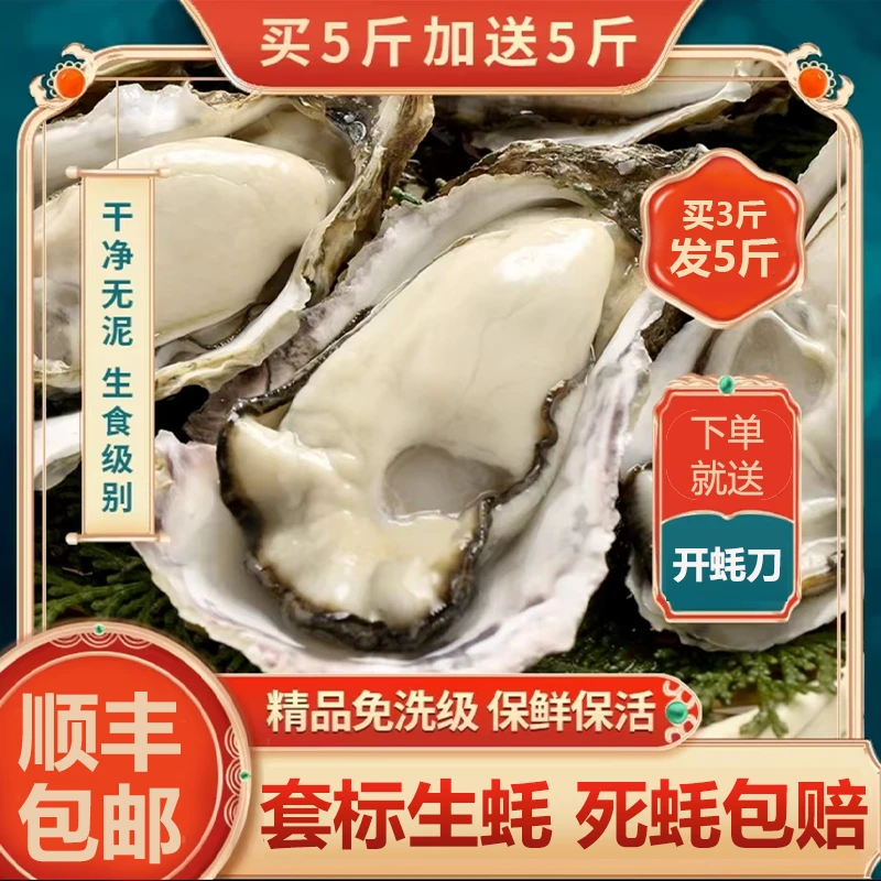 【买5斤送5斤】新鲜牡蛎生蚝原产地大生蚝烤生蚝蒸精品海蛎子