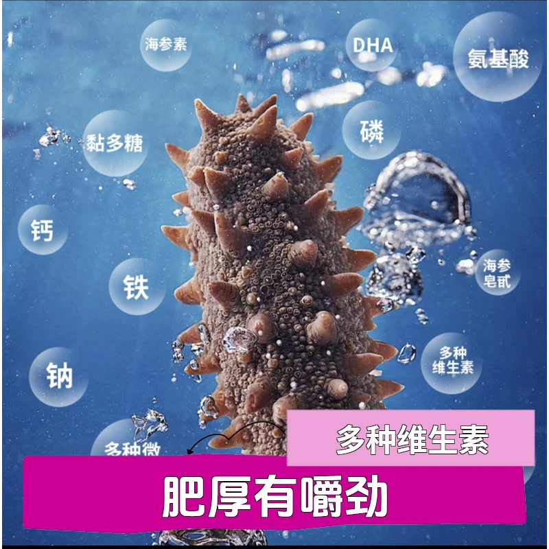 试吃装，肉质紧致，肥厚劲道，即食海参