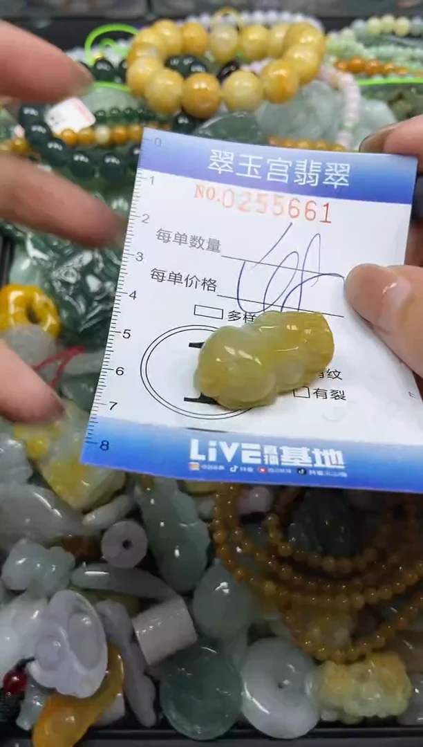 颈饰未镶嵌翡翠闪购C0255661
