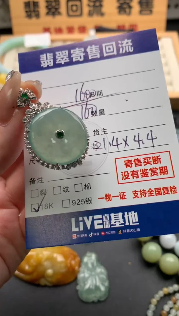 颈饰18K金镶嵌翡翠10144022
