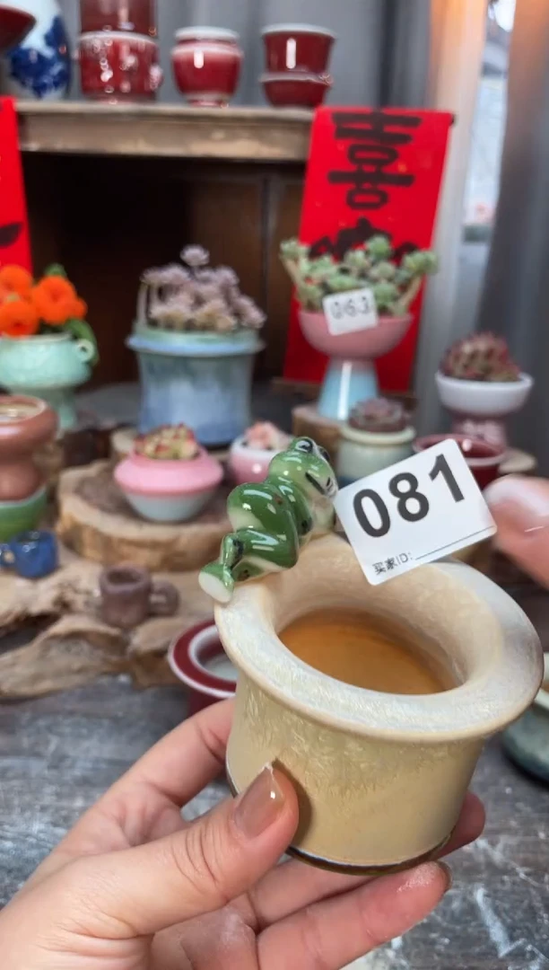 【闪购商品】摆件081知木小芳花盆