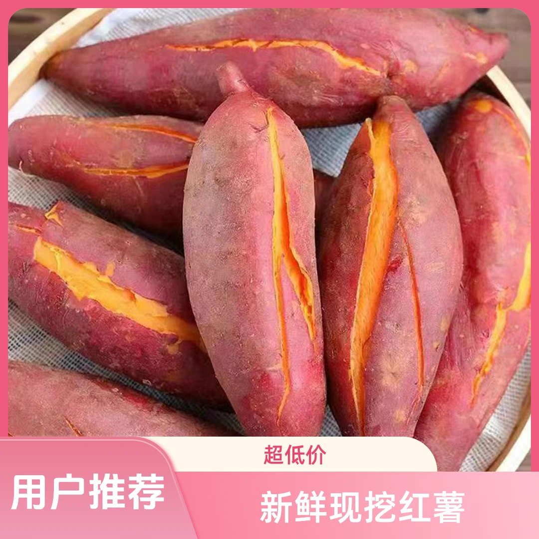 新鲜现挖农家红薯西瓜红蜜薯糖心板栗软糯香甜现挖现发番薯A