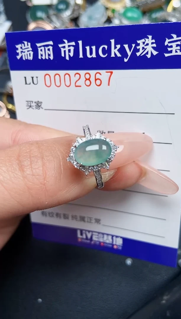【闪购商品】翡翠颈饰银S925镶嵌2867