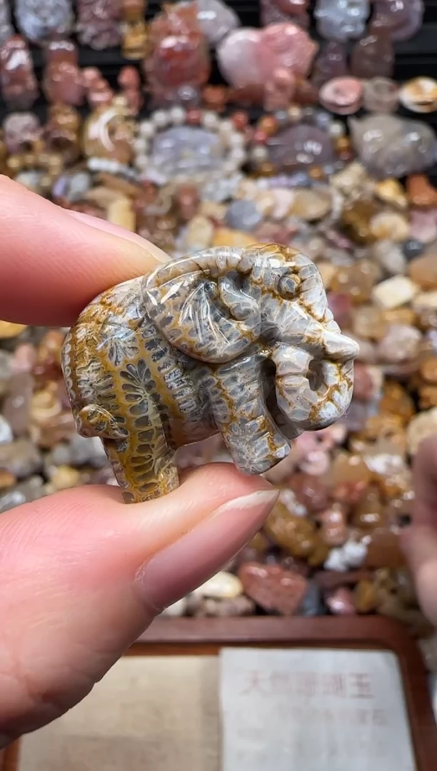 颈饰未镶嵌硅化珊瑚（珊瑚玉）622