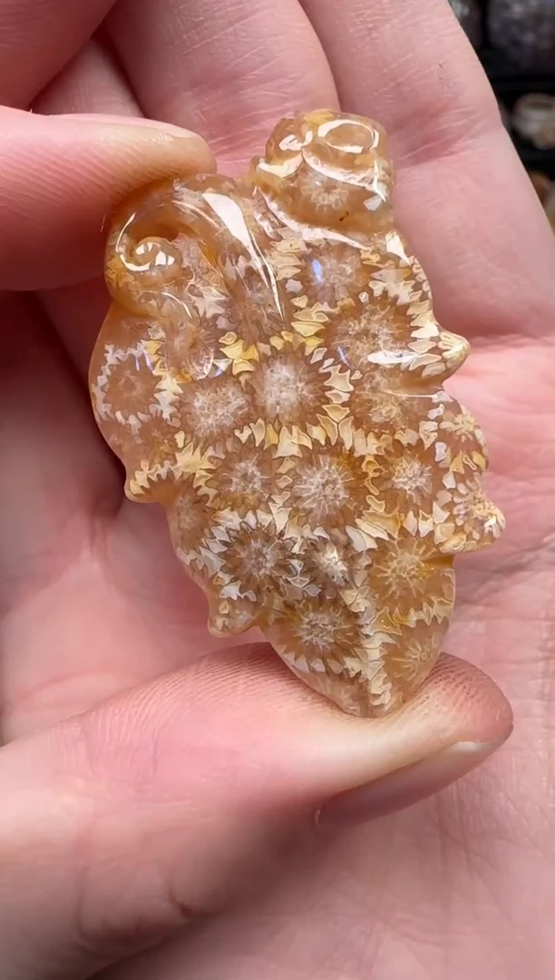 颈饰未镶嵌硅化珊瑚（珊瑚玉）123