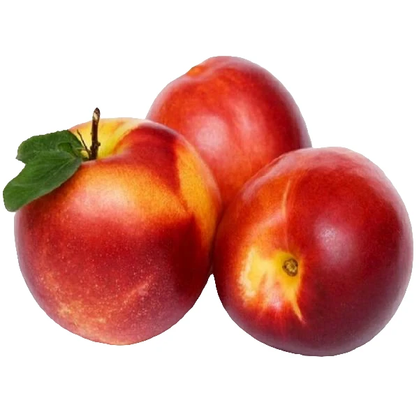 新鲜黄心油桃一斤