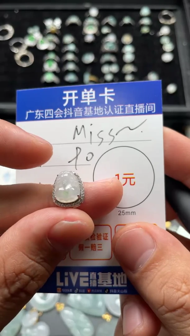 颈饰未镶嵌翡翠M****l挂件