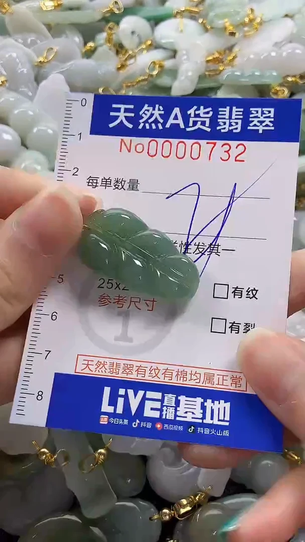 颈饰未镶嵌翡翠纯天然货翡翠