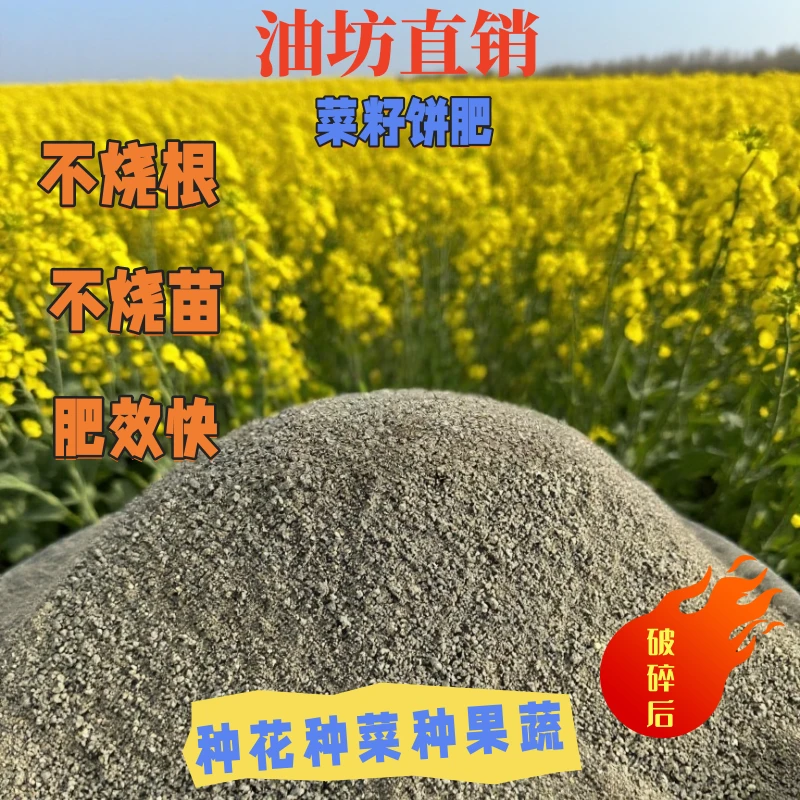 菜籽饼粉瓜果营养土蔬菜盆景有机肥野外钓鱼打窝料油菜菜籽饼枯粉