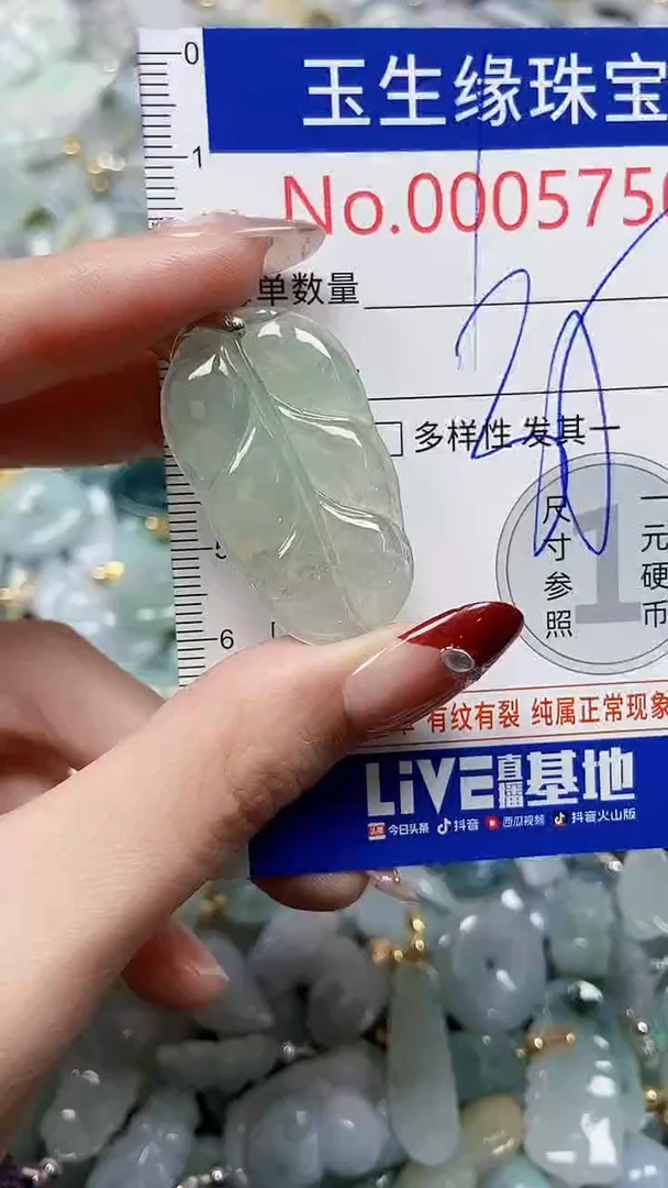 【闪购商品】翡翠颈饰未镶嵌闪购00005750