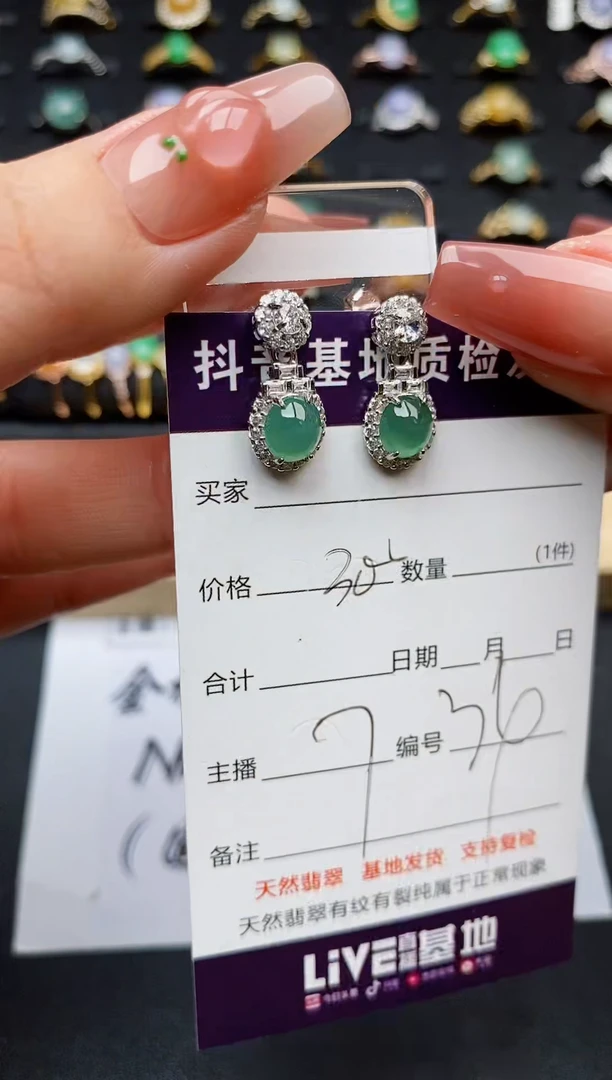 翡翠银S925镶嵌颈饰............