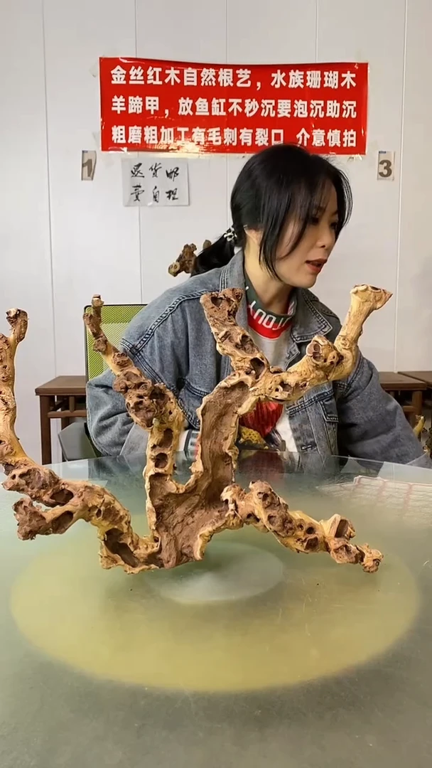 木**金丝红木  羊蹄甲