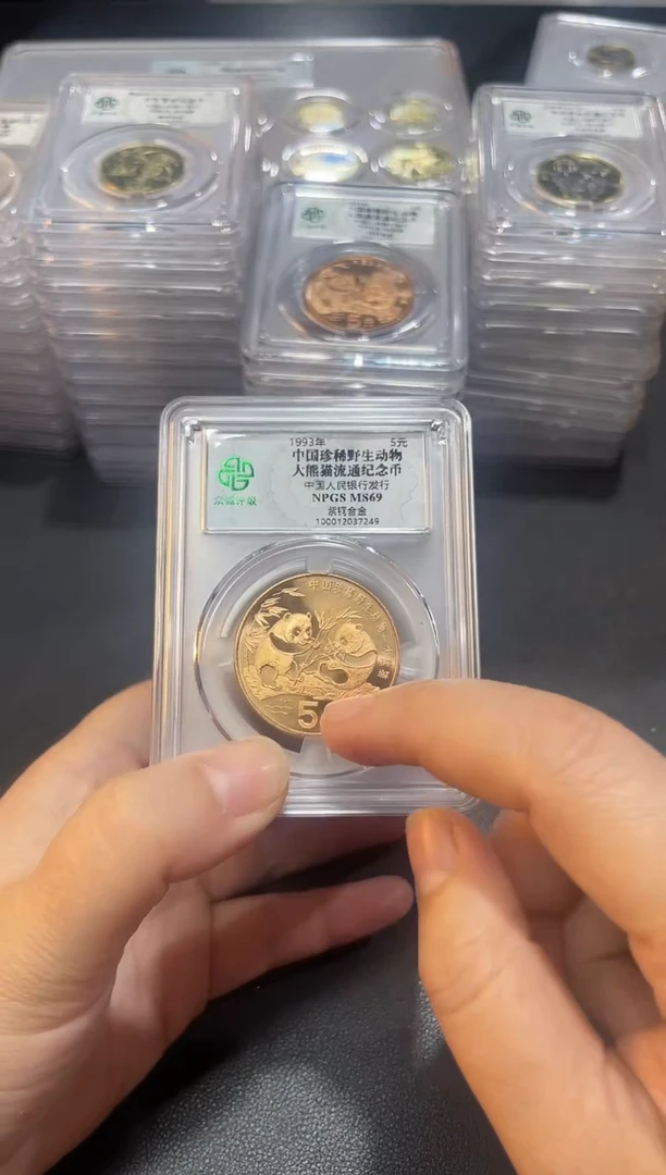 其他普通金属富**）动物69