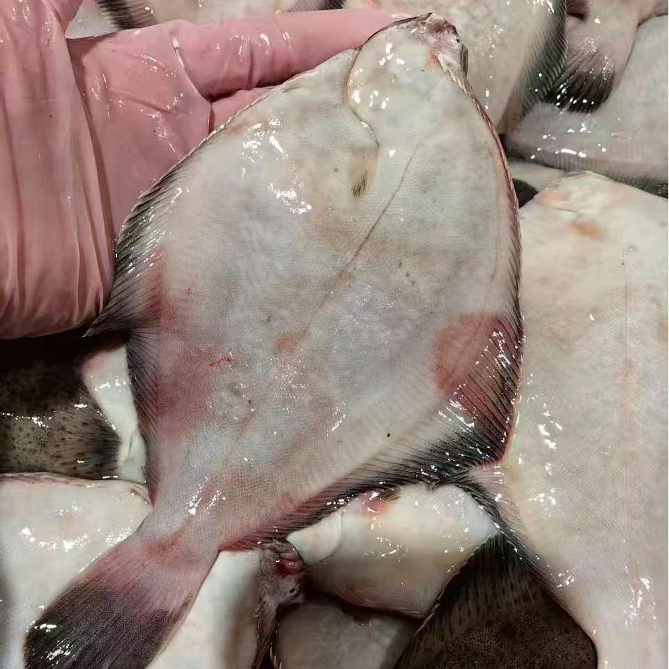 【大丫海鲜】纯野生本港高眼鱼鼓眼鱼鲜活新鲜冷冻 渔港直发 顺丰