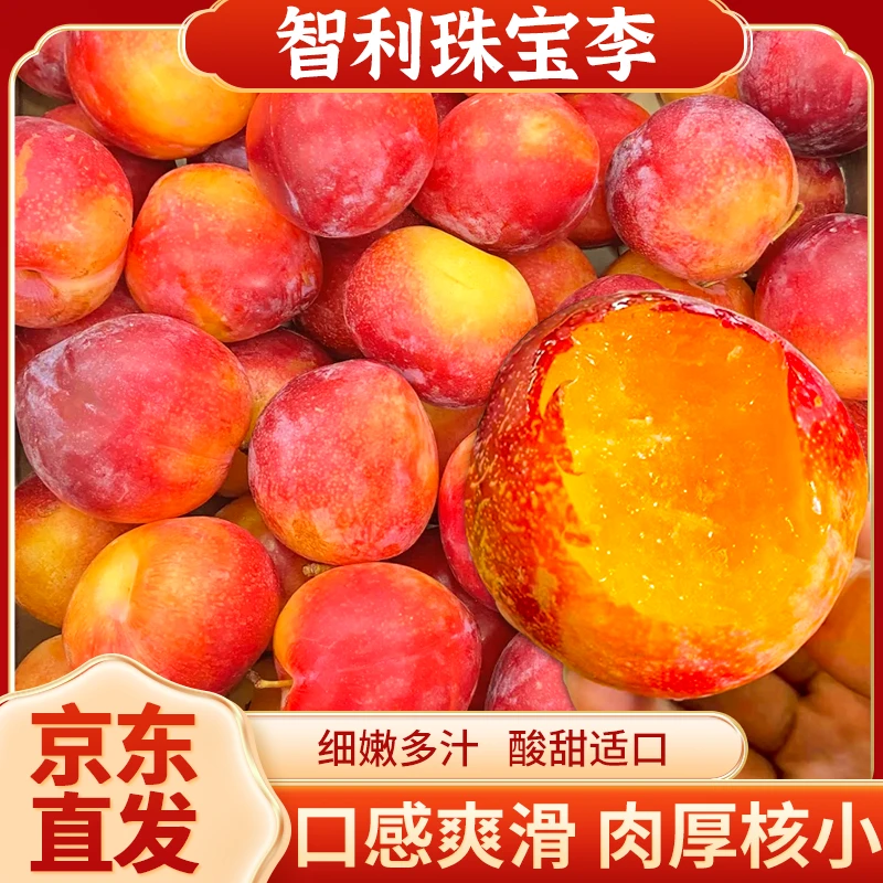 【京东】智利进口珠宝李当季孕妇新鲜水果粉红李肉厚细腻多汁2斤起