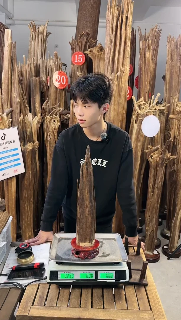 【闪购商品】沉香摆件沉香摆件多样性发一件85