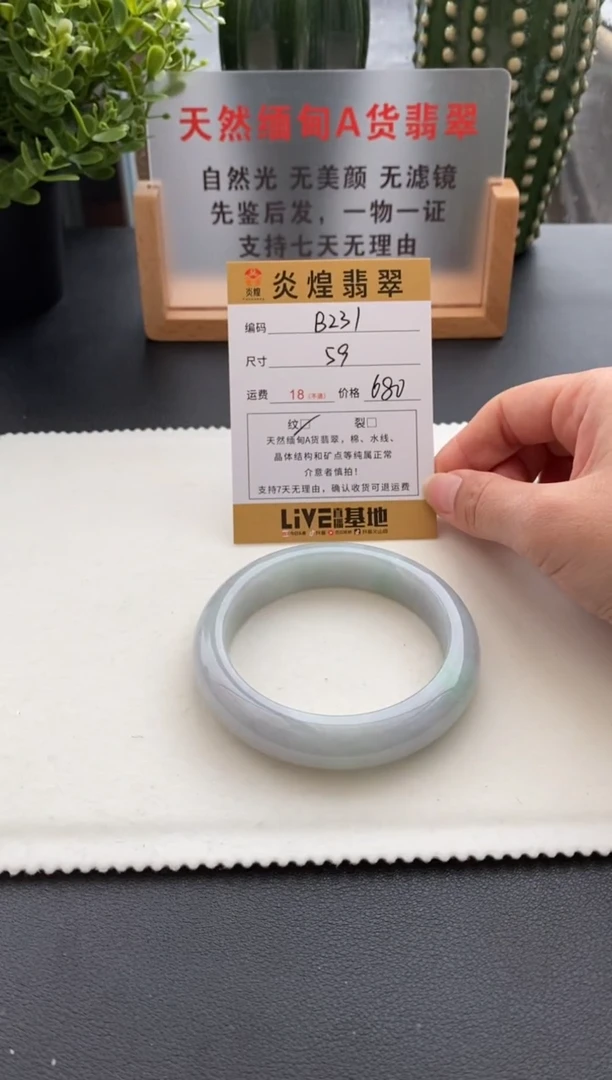 未镶嵌手镯翡翠59.3圈口 编码B231