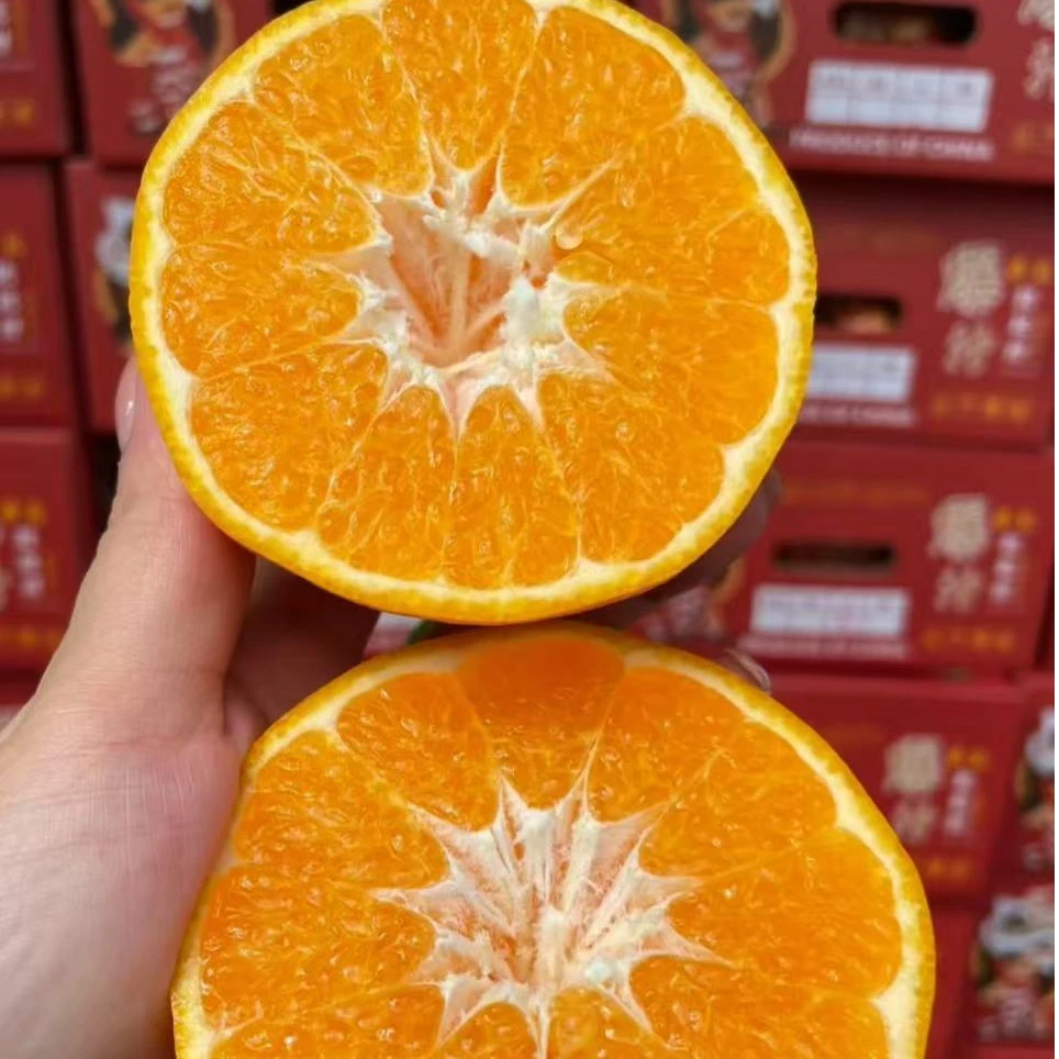 春见粑粑柑礼盒款