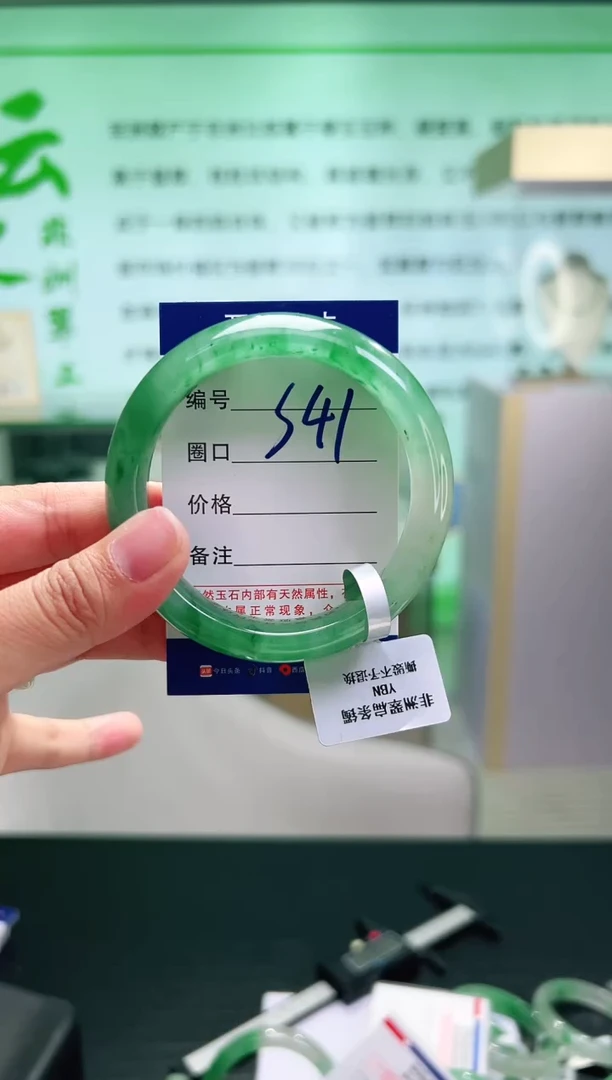 未镶嵌手镯石英质玉41