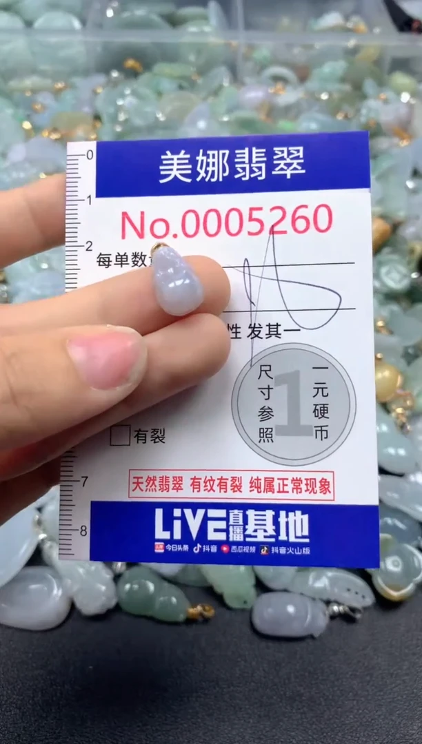 颈饰未镶嵌翡翠5260