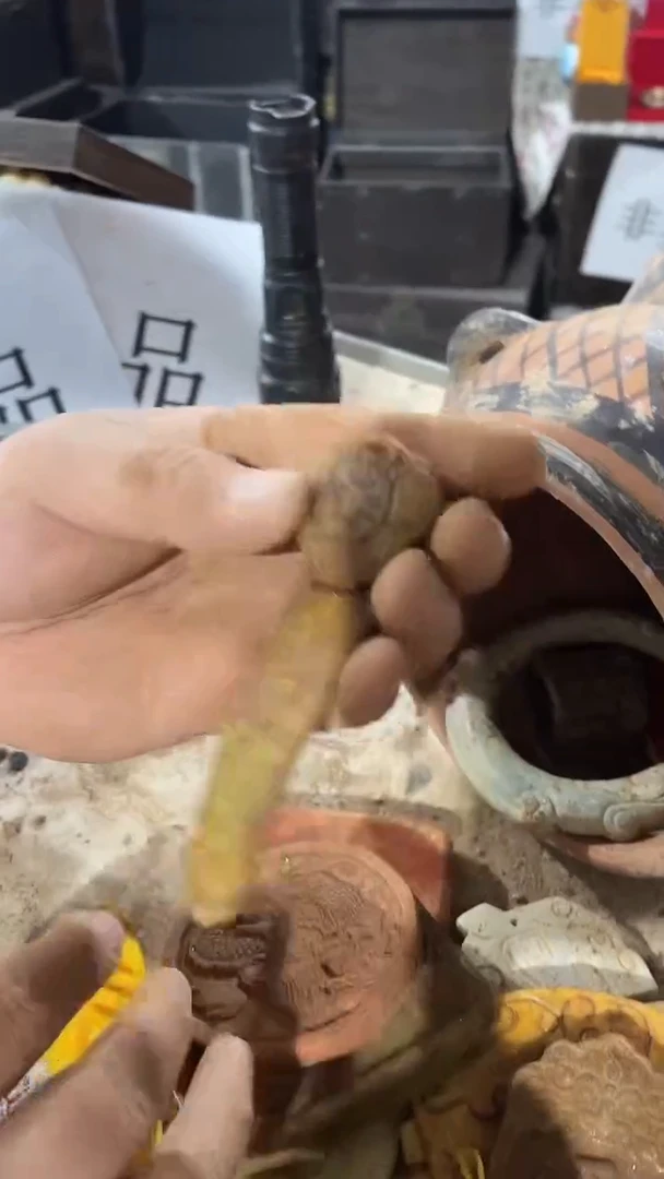 硅化玉奇石未镶嵌33