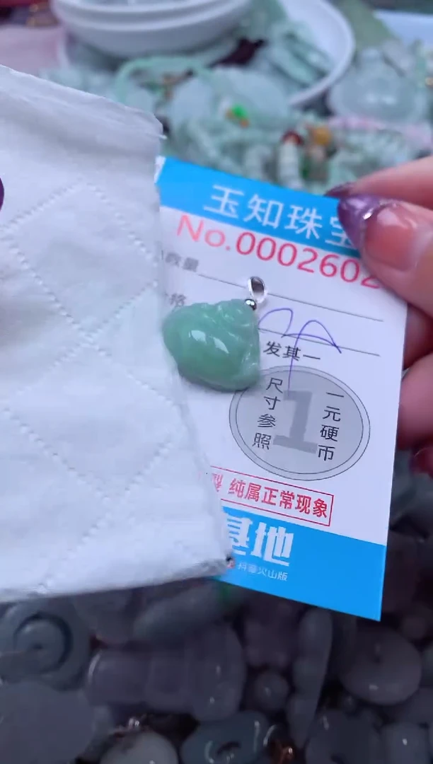 翡翠未镶嵌吊坠(不含链)2602