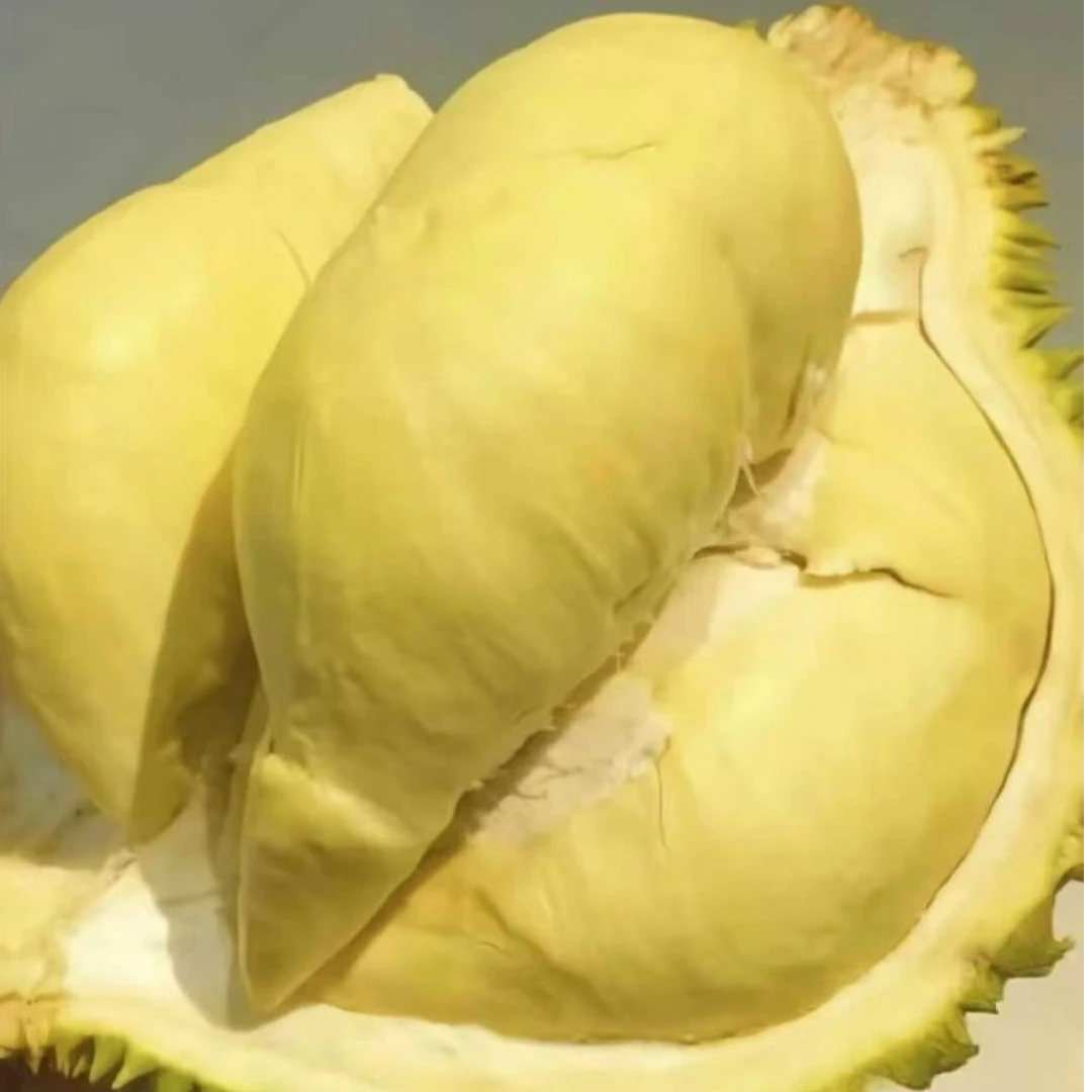 【一物一拍】老树金枕鲜榴莲/皮薄核小/2-9斤/一果一重金枕越南社会主义共和国