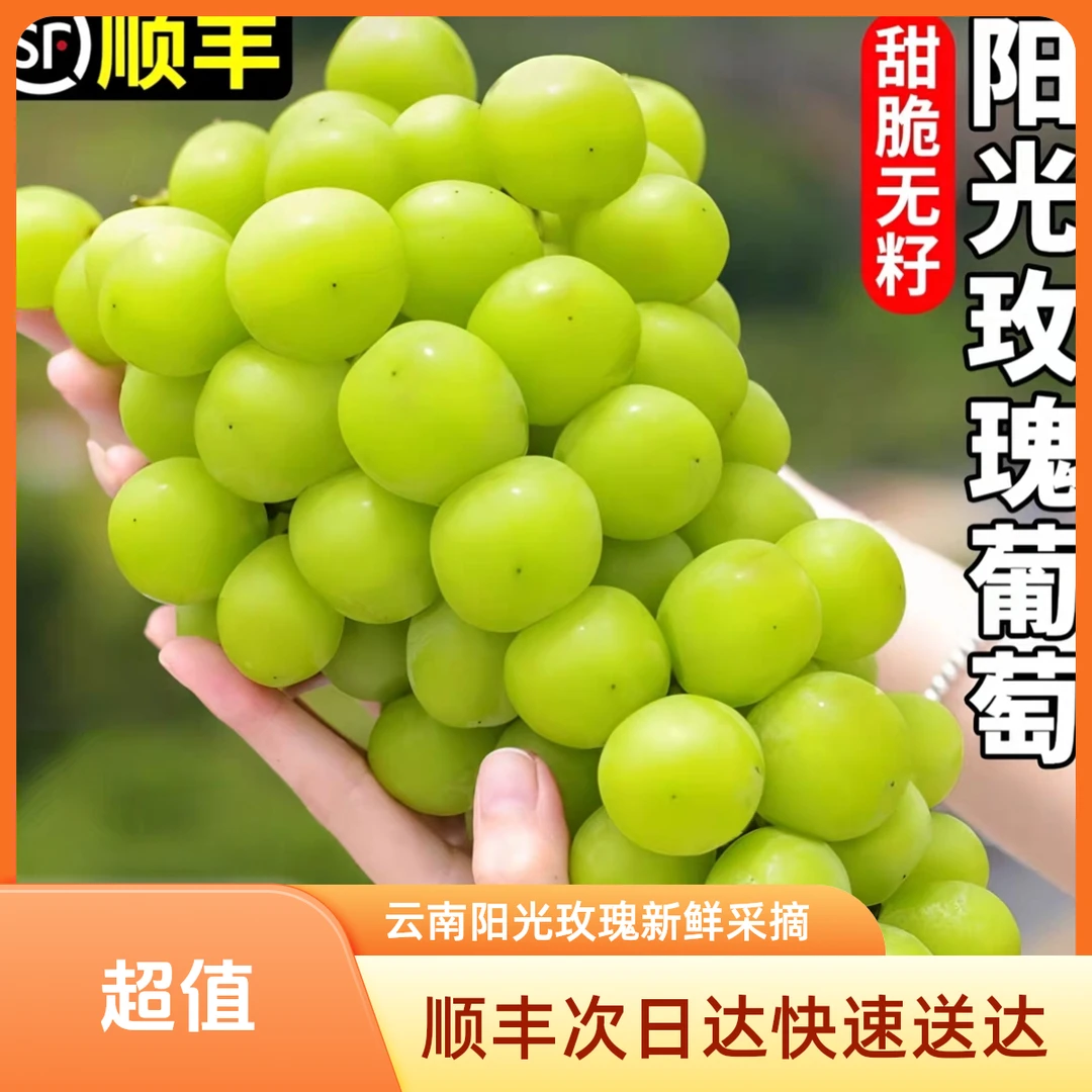 [顺丰次日达]精品阳光玫瑰大粒葡萄新鲜现采现摘爆汁爆甜顺丰送货上门TY云南省云南省
