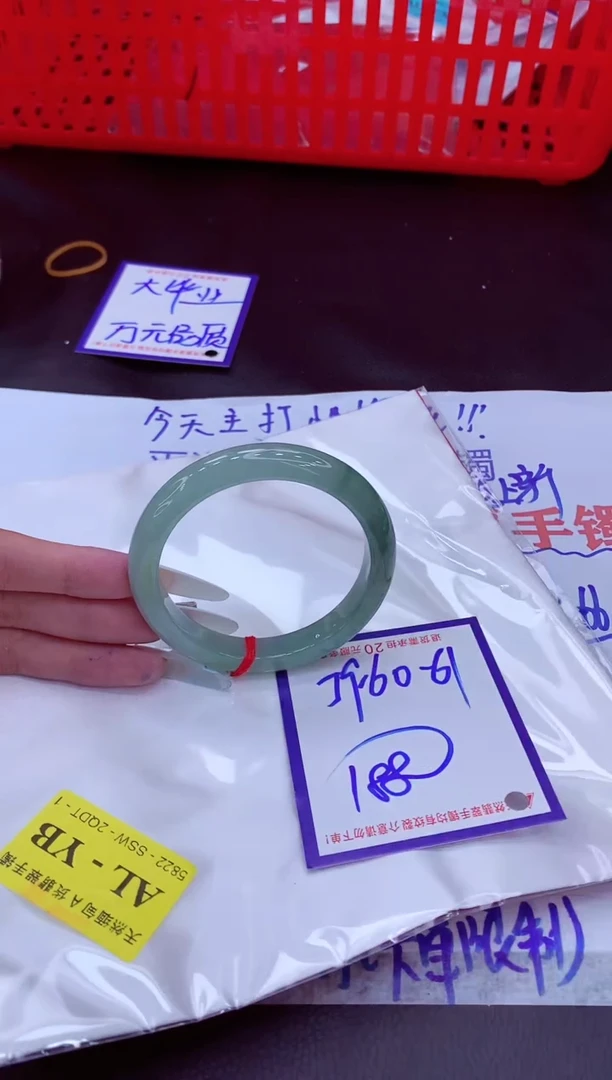 未镶嵌手镯翡翠11111111