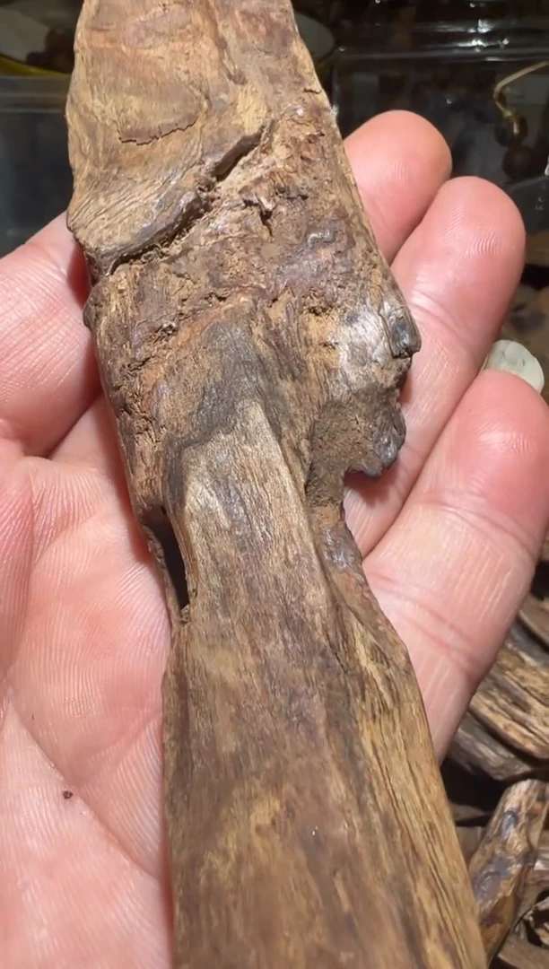 沉香沉香碎屑莱特13.8克