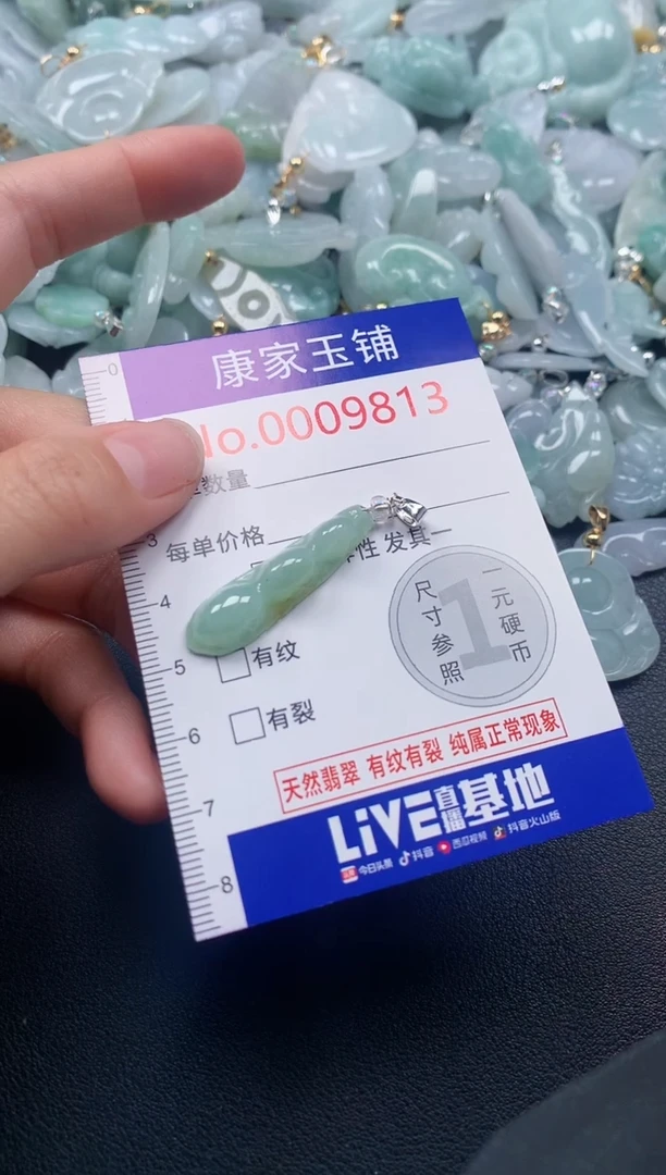 颈饰未镶嵌翡翠9814