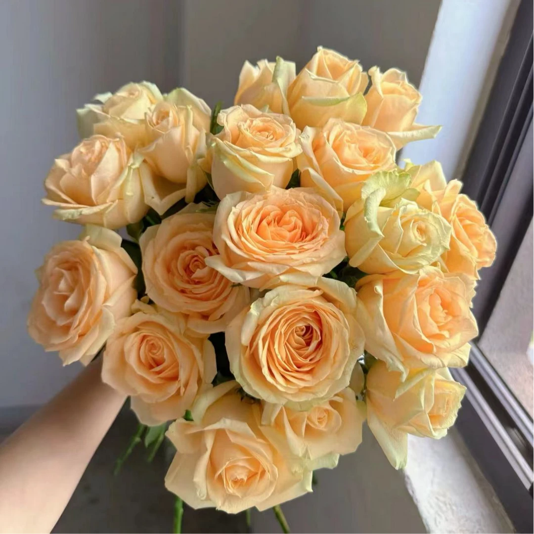 不参与凑单【心想事成花束】10%损耗不售后