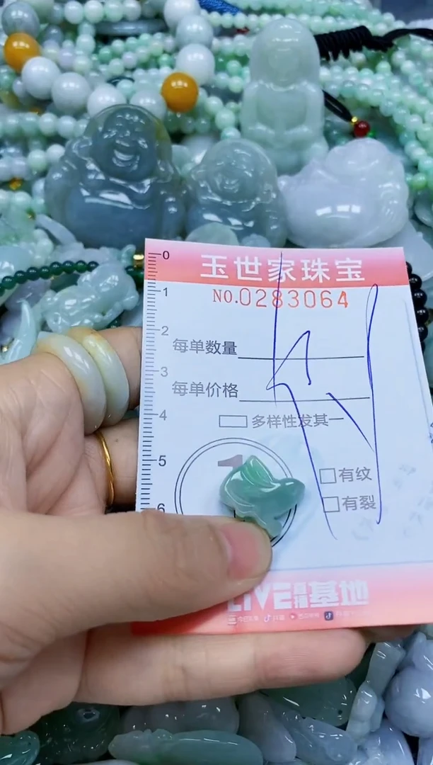翡翠未镶嵌颈饰闪购0283064
