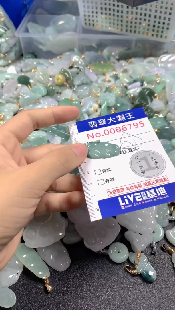 颈饰未镶嵌翡翠6795