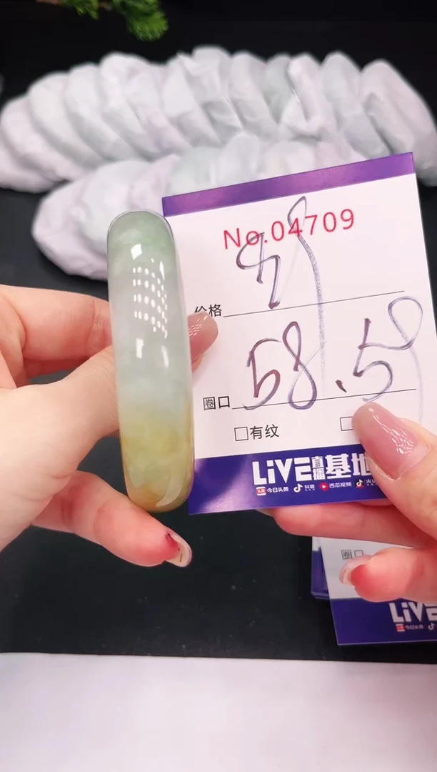 未镶嵌手镯翡翠4709