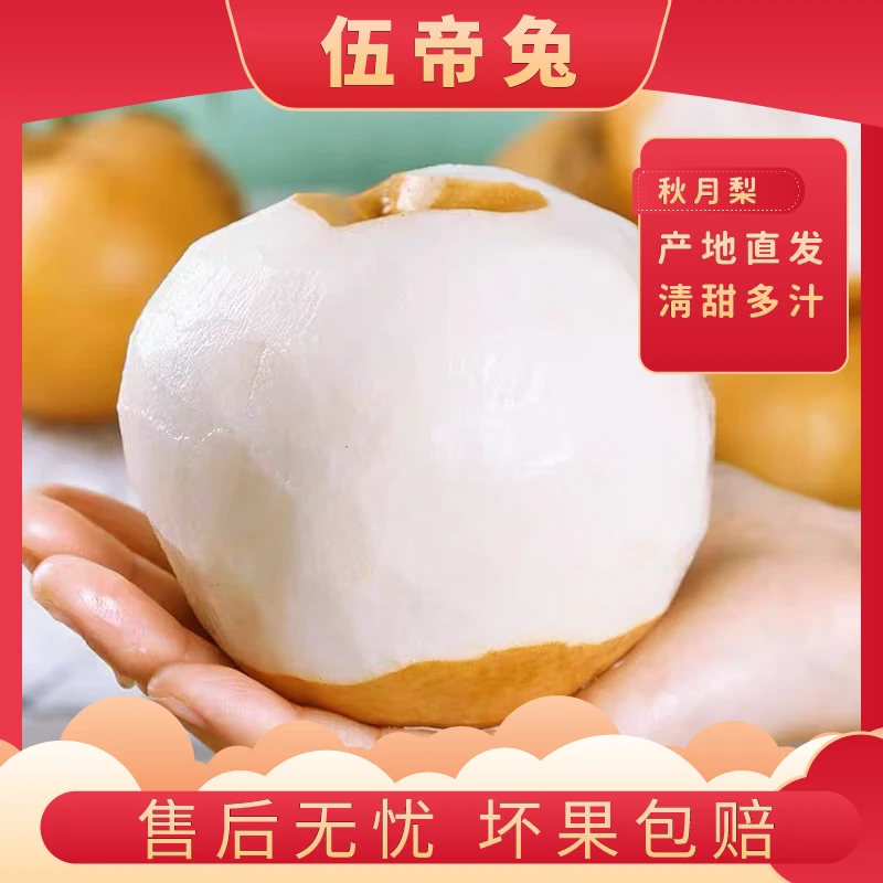 【林大厨专属】正宗烟台莱阳秋月梨新鲜冰糖梨个大产地发脆甜多汁