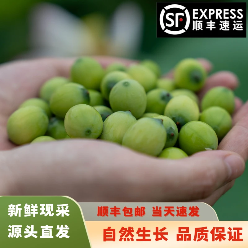 湖北新鲜莲蓬 现摘现发鲜嫩水果莲蓬 嫩甜莲蓬吃 1斤顺丰快递