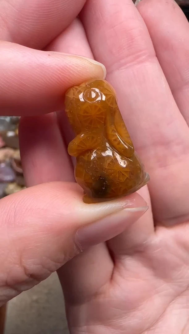 颈饰未镶嵌硅化珊瑚（珊瑚玉）168