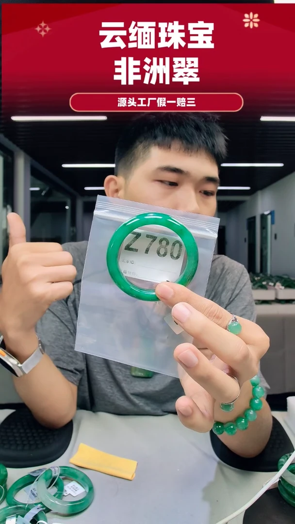 未镶嵌手镯石英质玉（非洲翠）54圈口Z780