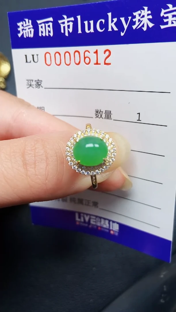 翡翠银S925镶嵌颈饰0612