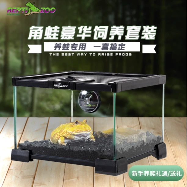 REPTIZOO/瑞皮角蛙饲养套装爬宠箱霸王黄金角蛙造景玻璃缸用品