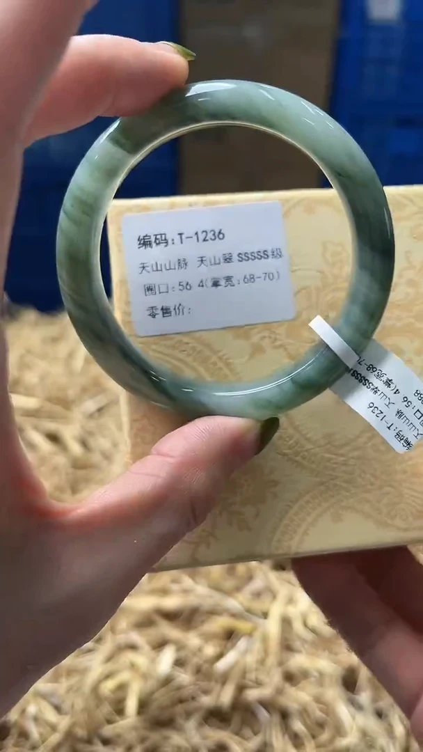 未镶嵌手镯石英质玉T1236