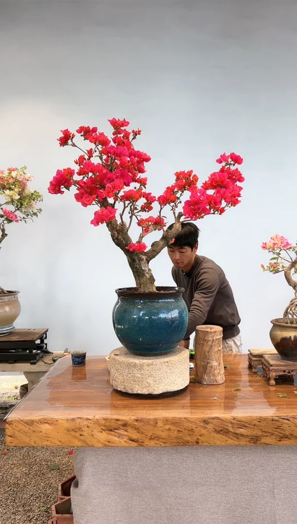 【闪购商品】aa925