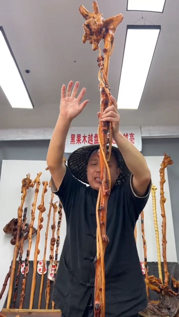 【闪购商品】黑果木其他黑果木606