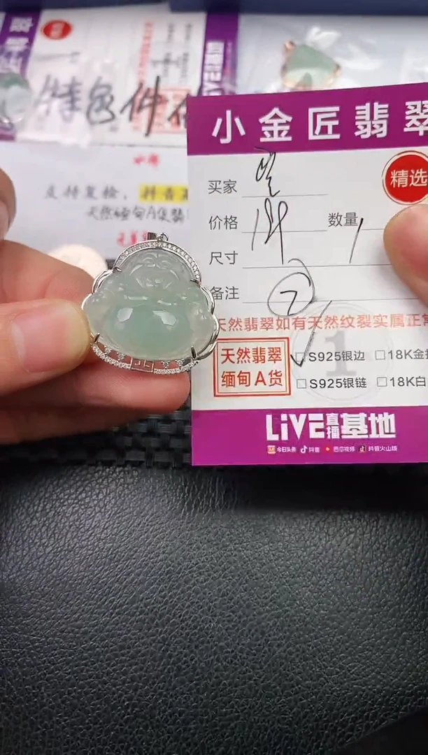 翡翠银S925镶嵌颈饰·