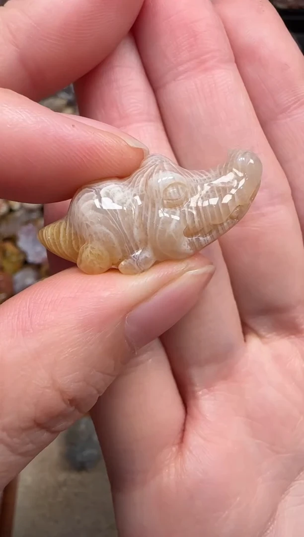 颈饰未镶嵌硅化珊瑚（珊瑚玉）217