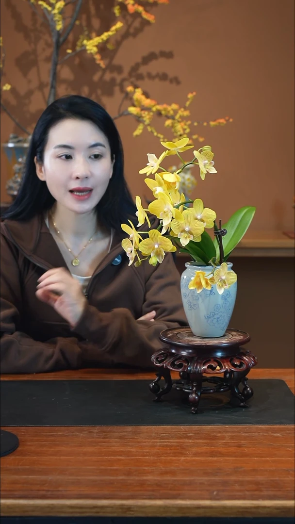 全部花朵金盏蝶盆景盆景盆景