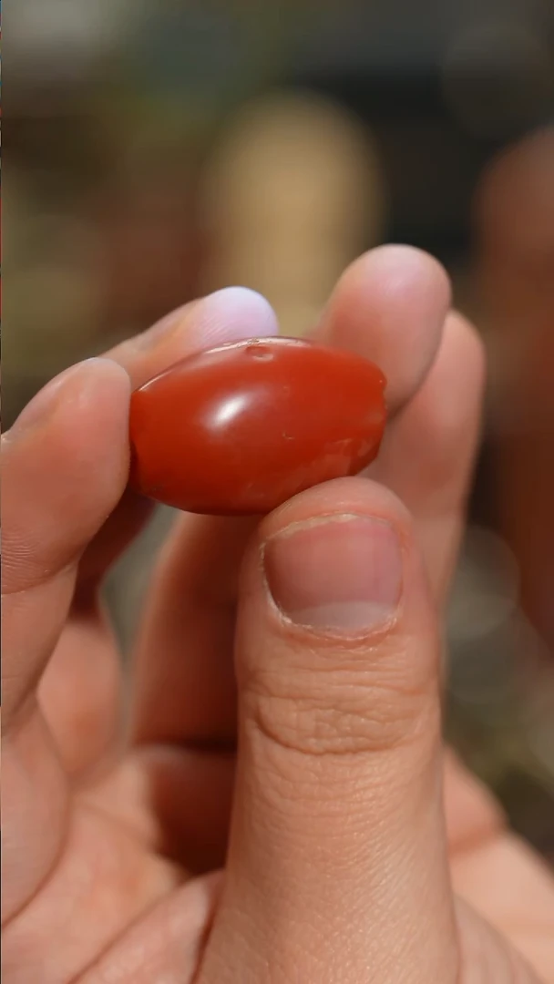 把件柏香籽/百香籽  老  甘南